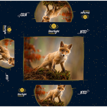 A young curious fox in the forest 1000 Jigsaw Puzzle box 3D Modell