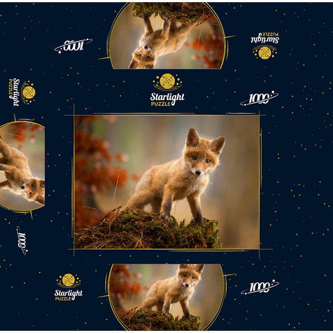 A young curious fox in the forest 1000 Jigsaw Puzzle box 3D Modell