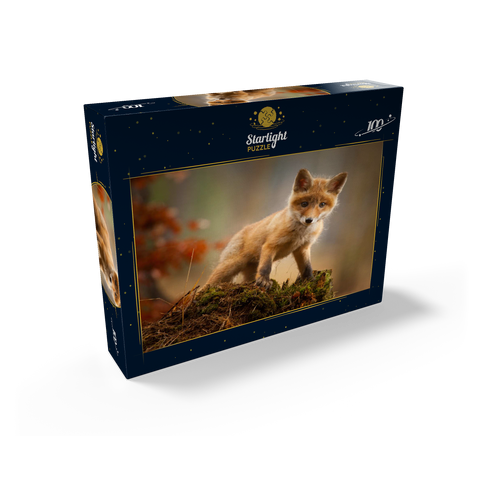 A young curious fox in the forest 100 Jigsaw Puzzle box view1