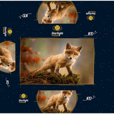 A young curious fox in the forest 100 Jigsaw Puzzle box 3D Modell