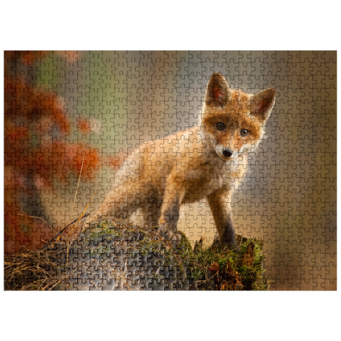 puzzleplate A young curious fox in the forest 500 Jigsaw Puzzle