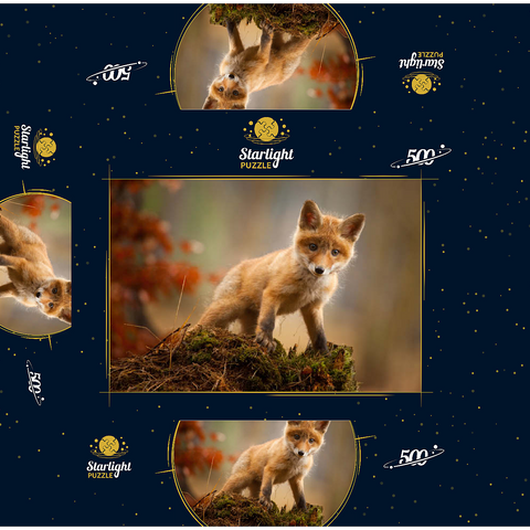 A young curious fox in the forest 500 Jigsaw Puzzle box 3D Modell