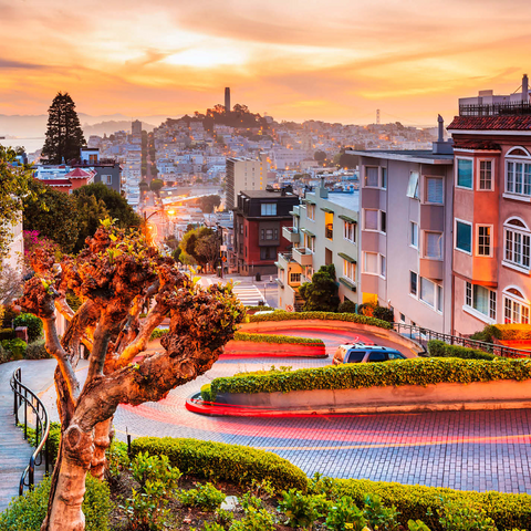 The famous Lombard Street in San Francisco at sunrise 1000 Jigsaw Puzzle 3D Modell