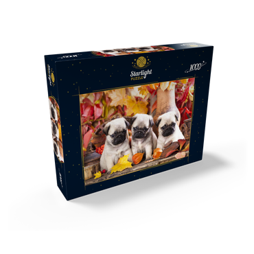 Pug puppies 1000 Jigsaw Puzzle box view1