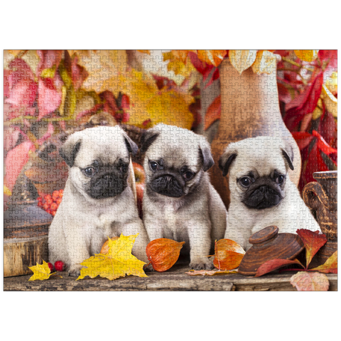 puzzleplate Pug puppies 1000 Jigsaw Puzzle