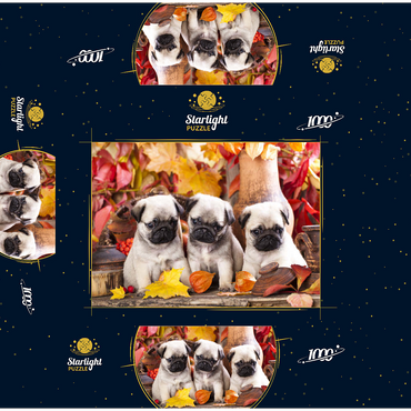 Pug puppies 1000 Jigsaw Puzzle box 3D Modell
