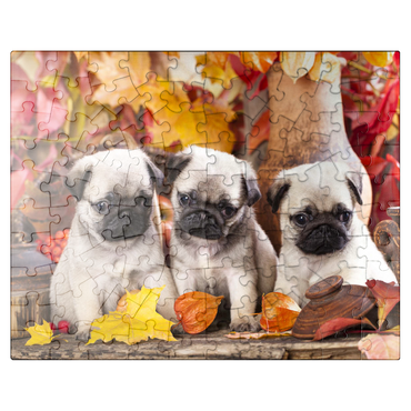 puzzleplate Pug puppies 100 Jigsaw Puzzle