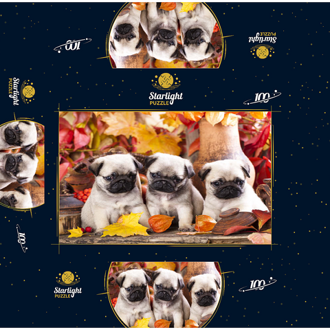 Pug puppies 100 Jigsaw Puzzle box 3D Modell