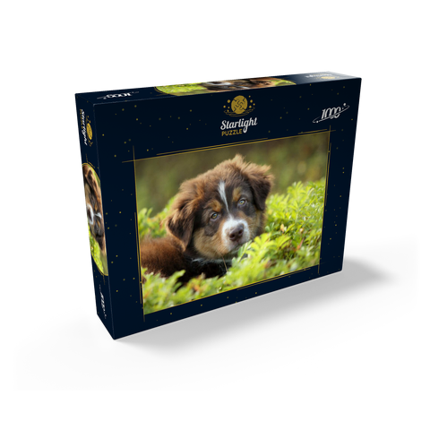 A dog in the grass 1000 Jigsaw Puzzle box view1