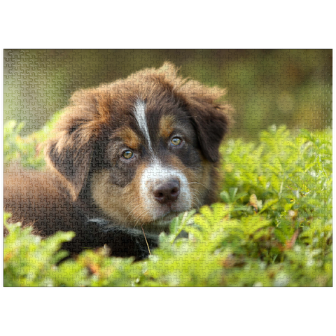 puzzleplate A dog in the grass 1000 Jigsaw Puzzle