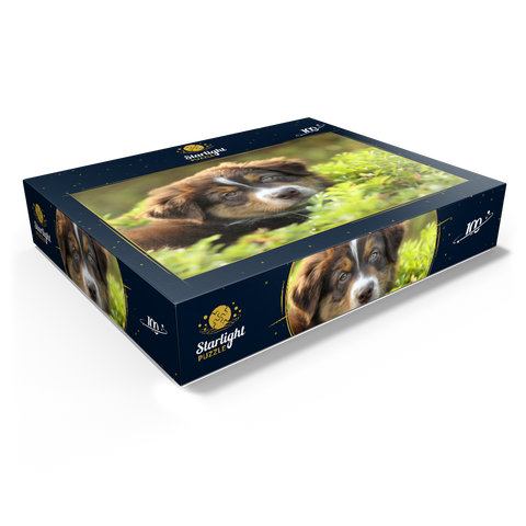 A dog in the grass 100 Jigsaw Puzzle box view1