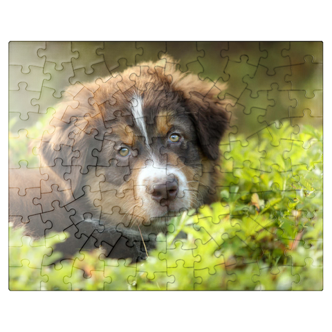 puzzleplate A dog in the grass 100 Jigsaw Puzzle