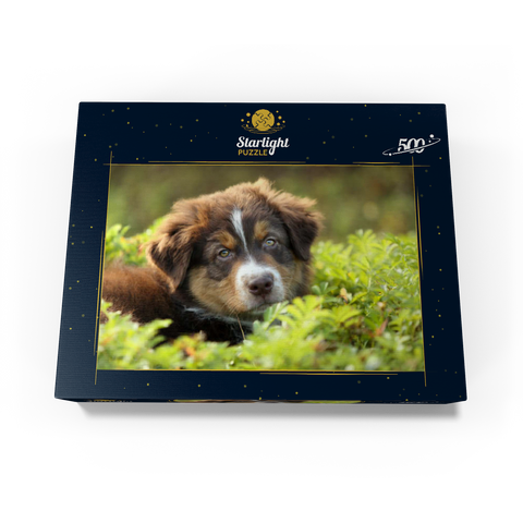 A dog in the grass 500 Jigsaw Puzzle box view1