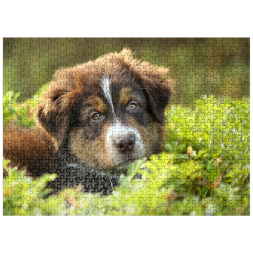 puzzleplate A dog in the grass 500 Jigsaw Puzzle