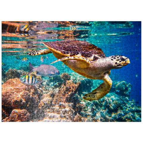 puzzleplate Hawksbill Turtle Maldives 500 Jigsaw Puzzle