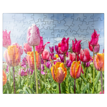 puzzleplate Orange yellow tulip field 100 Jigsaw Puzzle