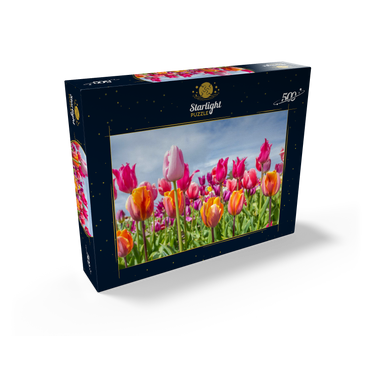 Orange yellow tulip field 500 Jigsaw Puzzle box view1