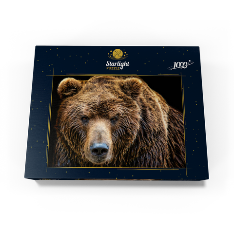 Brown bear (Ursus arctos beringianus) 1000 Jigsaw Puzzle box view1