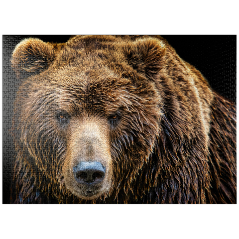 puzzleplate Brown bear (Ursus arctos beringianus) 1000 Jigsaw Puzzle