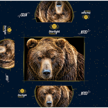 Brown bear (Ursus arctos beringianus) 1000 Jigsaw Puzzle box 3D Modell