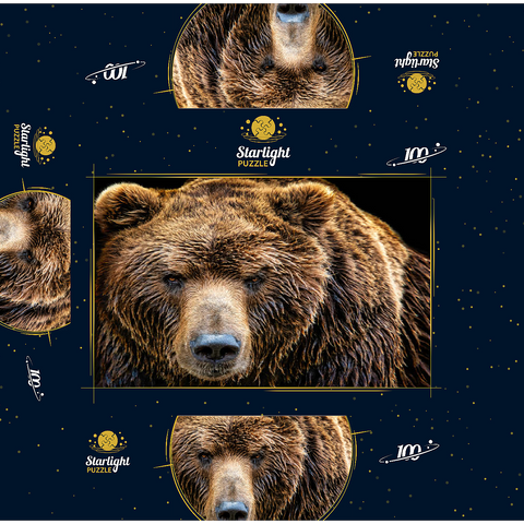 Brown bear Ursus arctos beringianus 100 Jigsaw Puzzle box 3D Modell