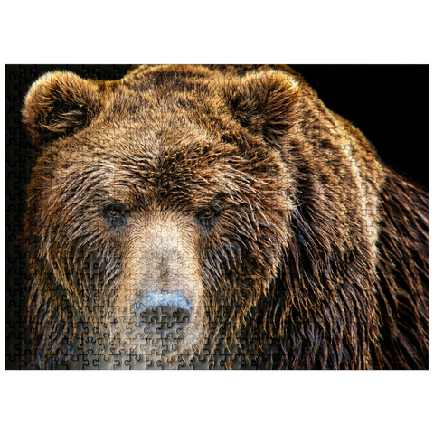 puzzleplate Brown bear Ursus arctos beringianus 500 Jigsaw Puzzle