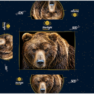 Brown bear Ursus arctos beringianus 500 Jigsaw Puzzle box 3D Modell