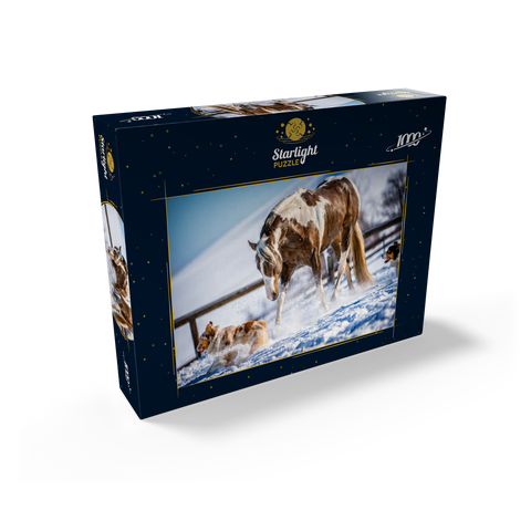 American Paint Horse on snow 1000 Jigsaw Puzzle box view1