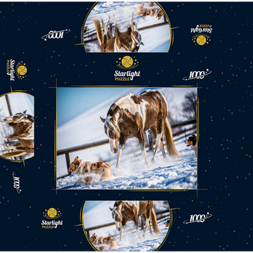 American Paint Horse on snow 1000 Jigsaw Puzzle box 3D Modell