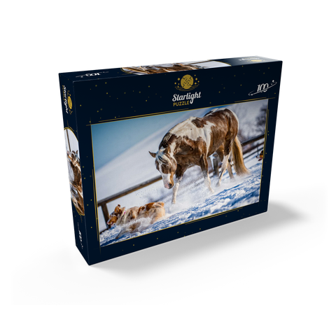 American Paint Horse on snow 100 Jigsaw Puzzle box view1