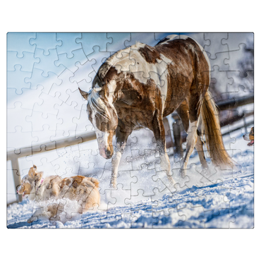 puzzleplate American Paint Horse on snow 100 Jigsaw Puzzle