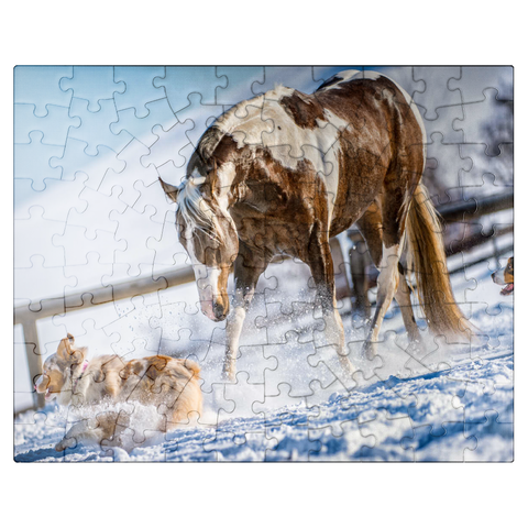 puzzleplate American Paint Horse on snow 100 Jigsaw Puzzle