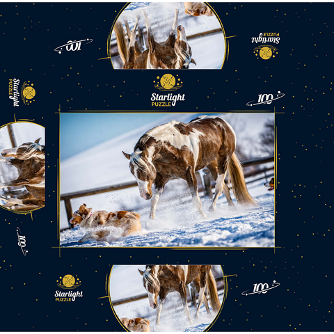 American Paint Horse on snow 100 Jigsaw Puzzle box 3D Modell
