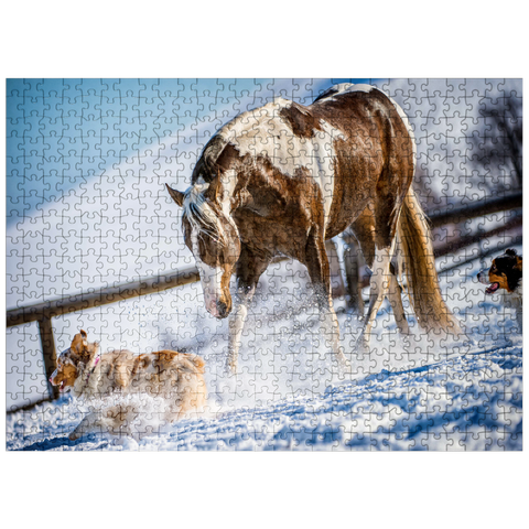 puzzleplate American Paint Horse on snow 500 Jigsaw Puzzle