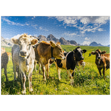 puzzleplate Cows in front of an idyllic alpine landscape 1000 Jigsaw Puzzle