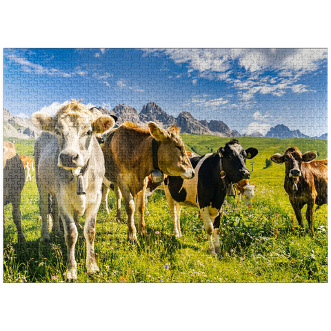 puzzleplate Cows in front of an idyllic alpine landscape 1000 Jigsaw Puzzle