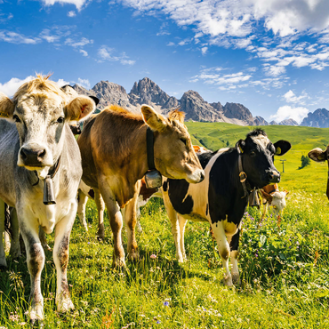 Cows in front of an idyllic alpine landscape 1000 Jigsaw Puzzle 3D Modell