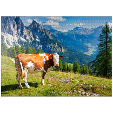 puzzleplate Grazing cows in the Dolomite mountains 1000 Jigsaw Puzzle
