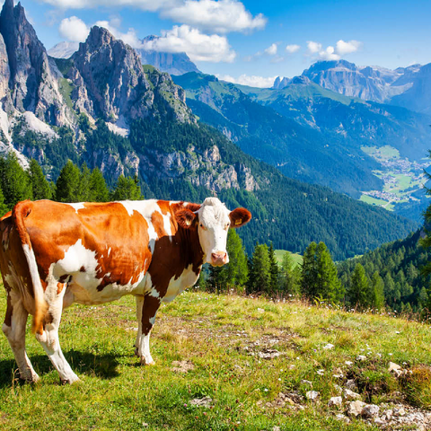 Grazing cows in the Dolomite mountains 100 Jigsaw Puzzle 3D Modell