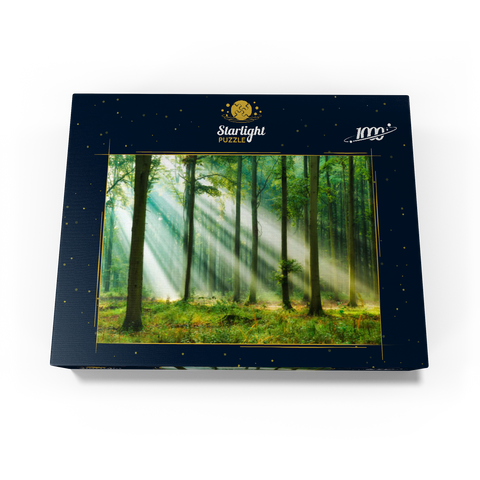 Beautiful morning in the forest 1000 Jigsaw Puzzle box view1