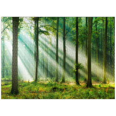 puzzleplate Beautiful morning in the forest 1000 Jigsaw Puzzle