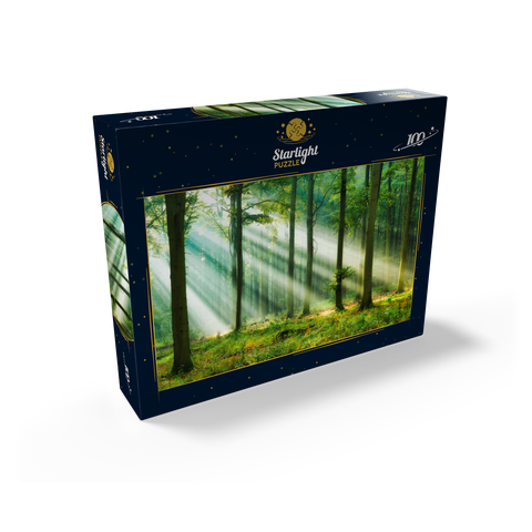 Beautiful morning in the forest 100 Jigsaw Puzzle box view1