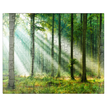 puzzleplate Beautiful morning in the forest 100 Jigsaw Puzzle