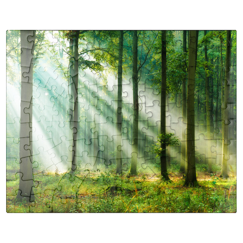 puzzleplate Beautiful morning in the forest 100 Jigsaw Puzzle