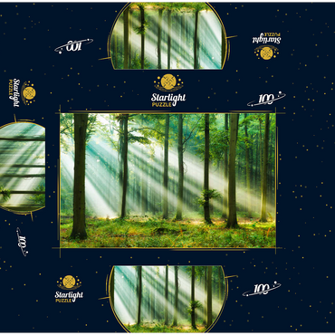 Beautiful morning in the forest 100 Jigsaw Puzzle box 3D Modell