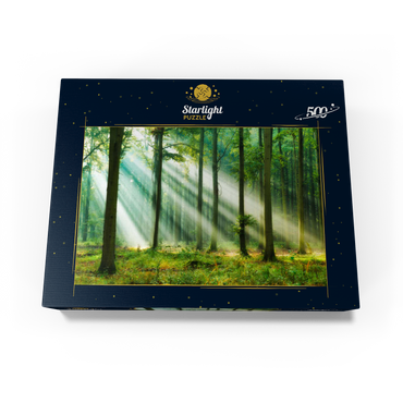 Beautiful morning in the forest 500 Jigsaw Puzzle box view1
