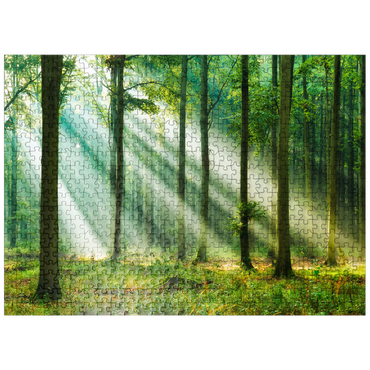 puzzleplate Beautiful morning in the forest 500 Jigsaw Puzzle