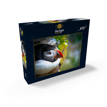 Puffin on a rock, West Iceland Fjord 1000 Jigsaw Puzzle box view1