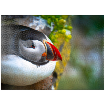 puzzleplate Puffin on a rock, West Iceland Fjord 1000 Jigsaw Puzzle
