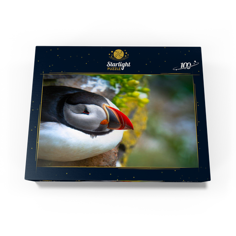 Puffin on a rock West Iceland Fjord 100 Jigsaw Puzzle box view1